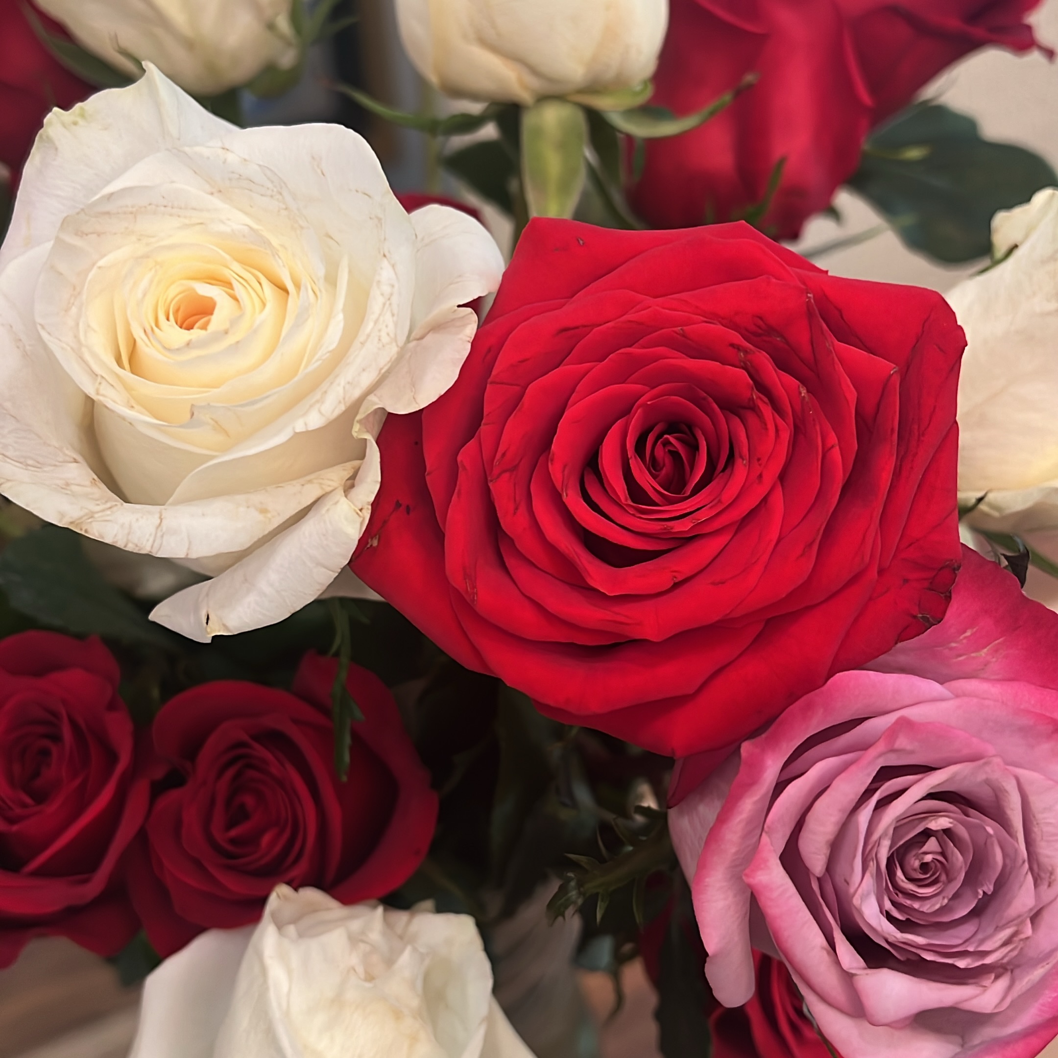 Setting up for our Roses and Rosé event! Be sure to swing by the office between 2pm and 6pm...