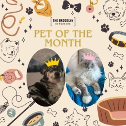 a poster with a dog and a cat on it for Pet-of-the-Month