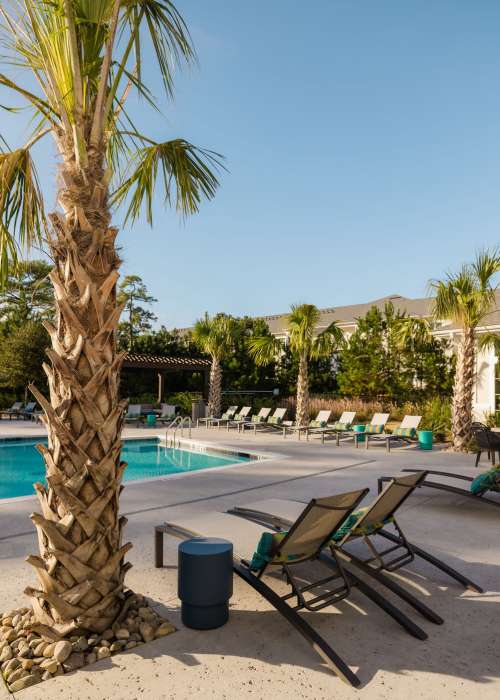 View amenities at Riverwood Apartments in Wilmington, North Carolina