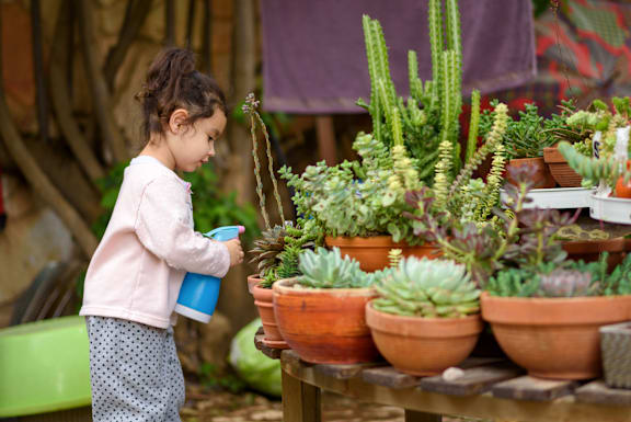 Girl On Garden at Saddleback Village at Stonegate Townhomes, Maricopa, 85138