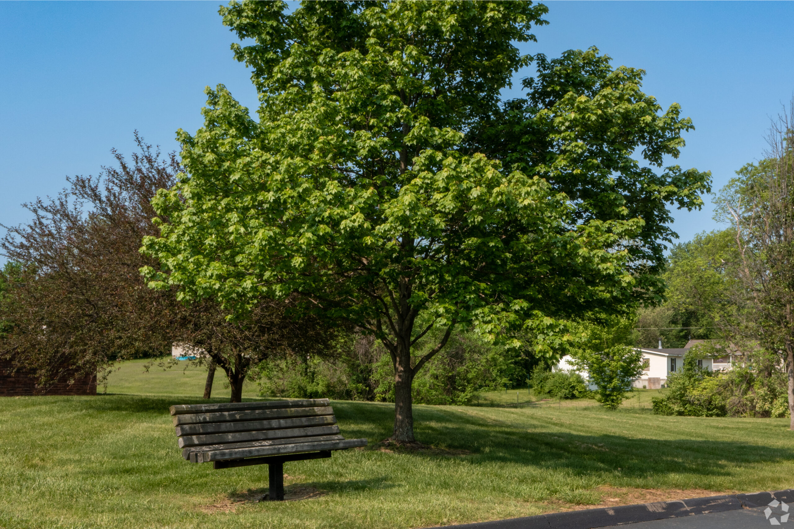 Lots of Green Space