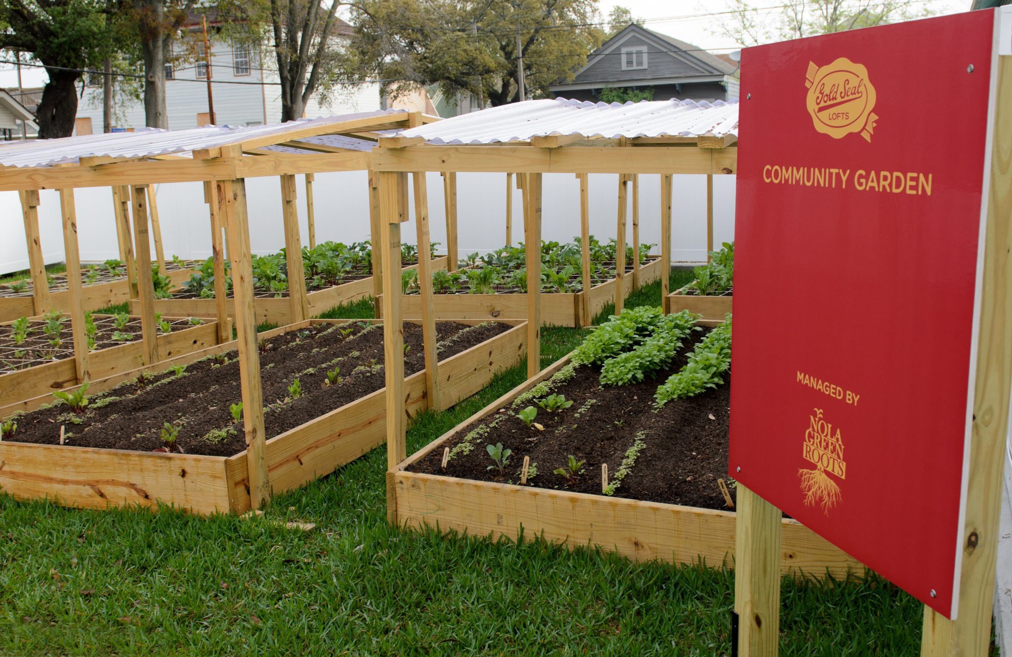 A collection of raised garden beds at Gold Seal Lofts apartment community garden managed by NOLA Green Roots