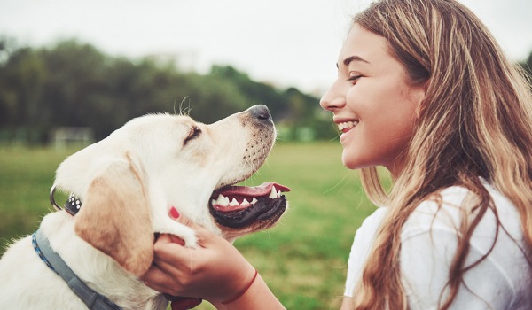 Pet-Friendly at The Pointe at Concord