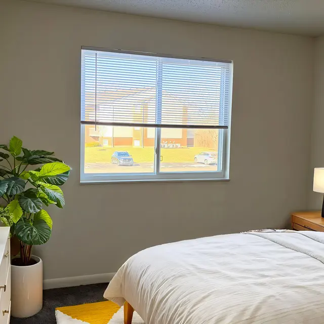 A cozy modern bedroom featuring a bed with white and yellow striped pillows, a bedside table with a lamp, a television on a white dresser, and a large window allowing natural light with a view of cars outside. A green plant in a pot adds a lively touch to the decor.