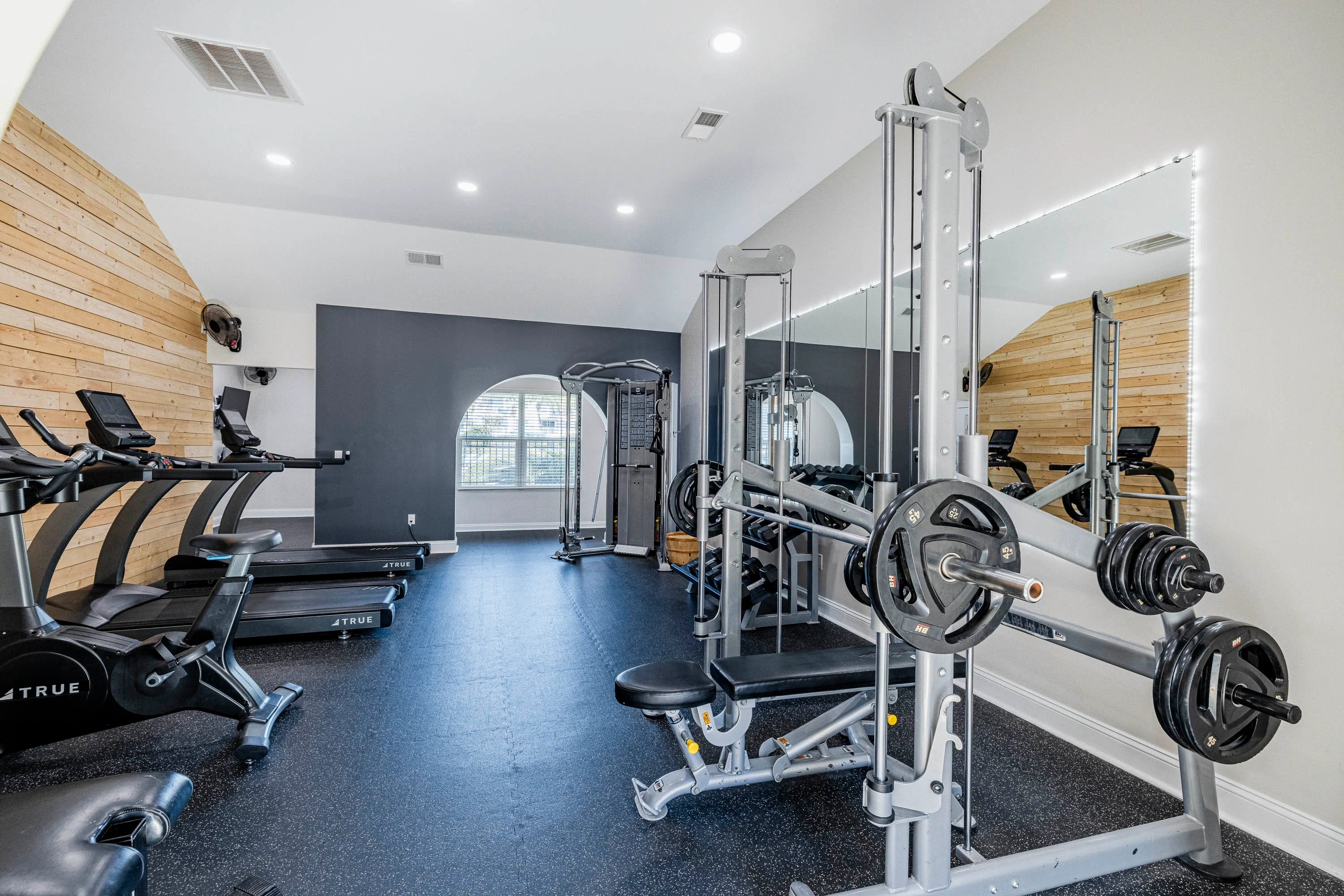 Modern apartment gym featuring cardio machines, weightlifting equipment, and natural light from large windows.