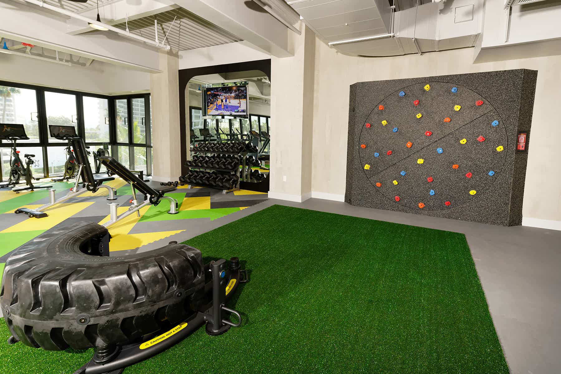 Training Studio & Rock Climbing Wall