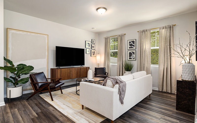 furnished living room with couch and tv