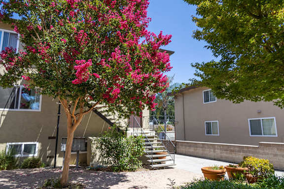 2080 Fruitdale Ave photo