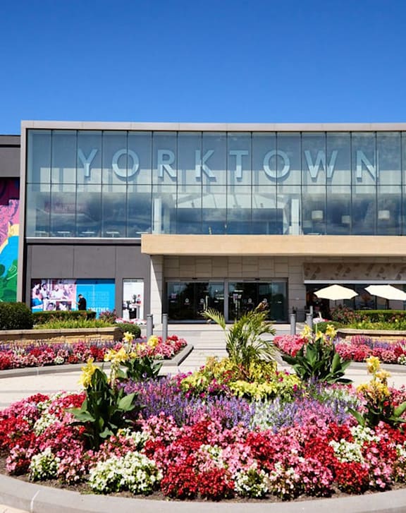 A flower bed in front of a Yorktown building.