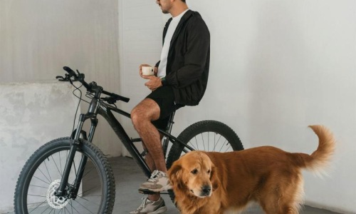 a man sitting on a bike next to a dog