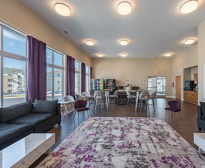 Bright community room with modern seating, large windows, and a vibrant rug, creating an inviting social space for residents.