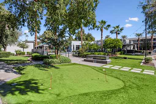 A green lawn with a white sign and a fence in the background.