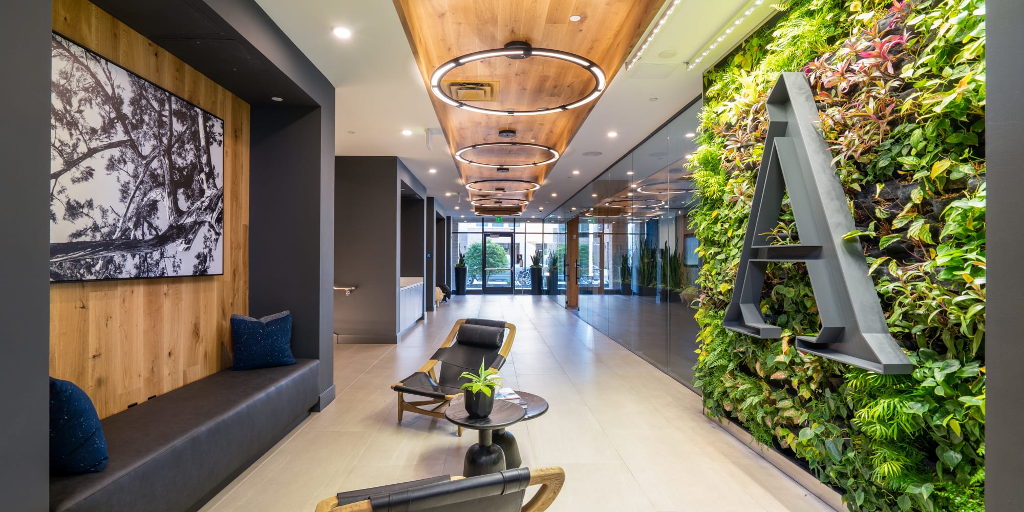 Apartments at Anson in Burlingame, California