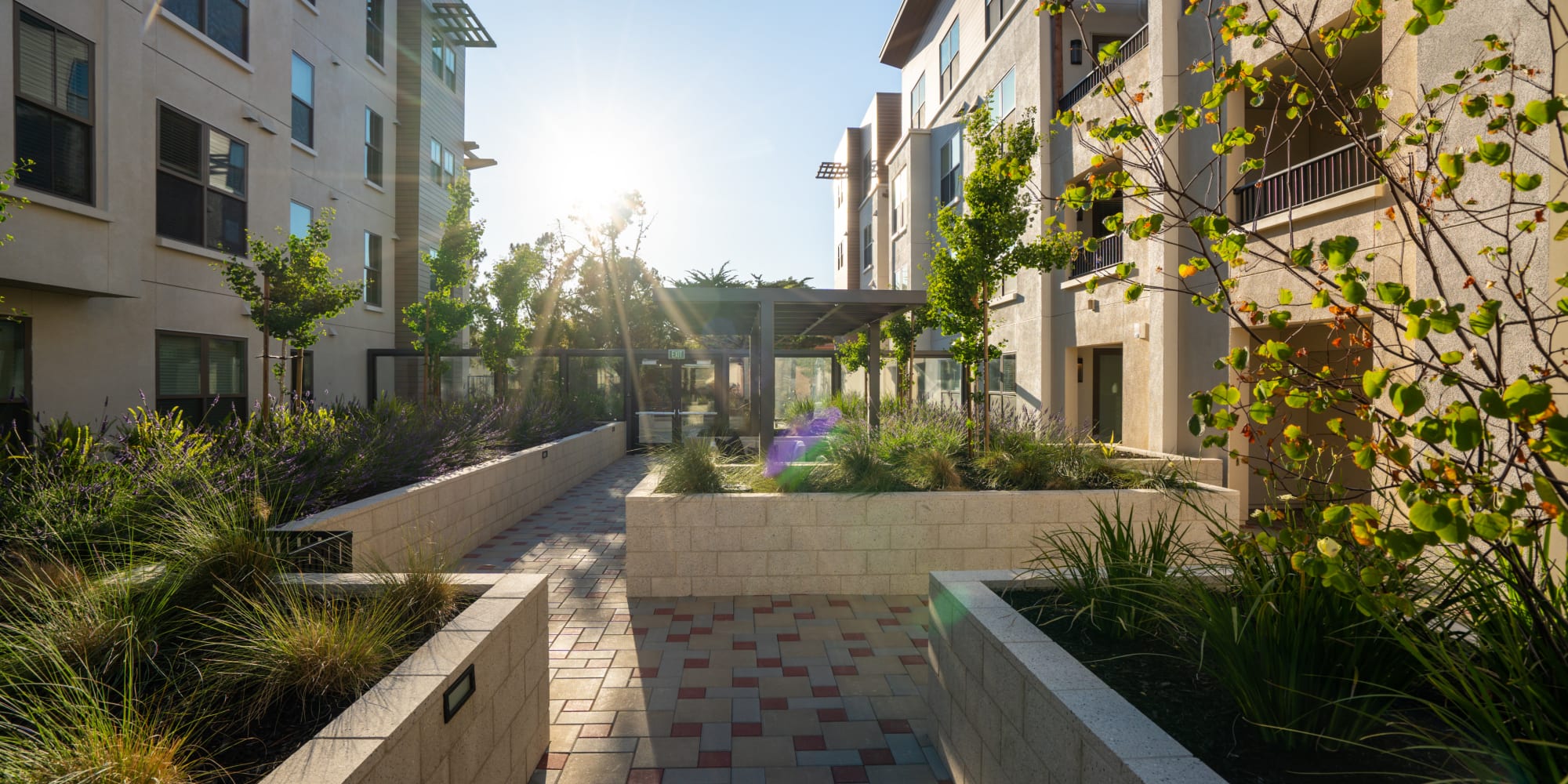 Burlingame, California, apartments at Anson